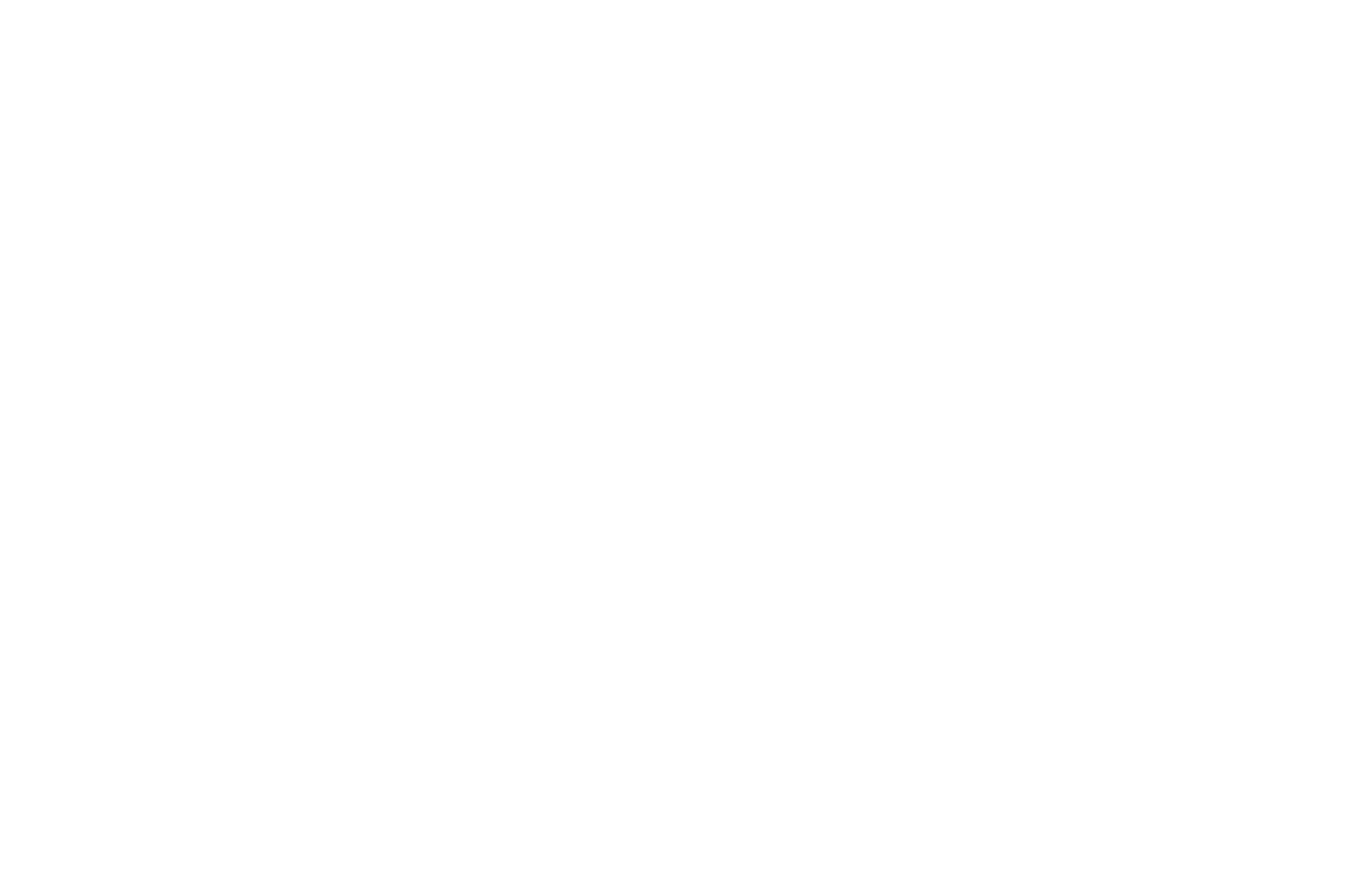 Official Selection - Big Apple Film Festival and Screen Play Competition