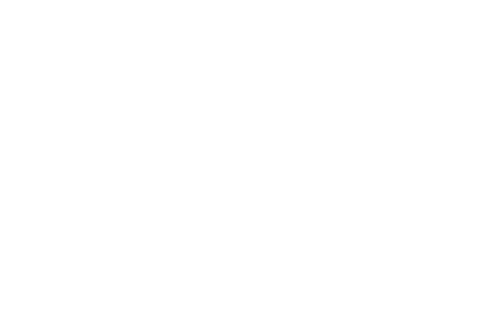 Official Selection - California Independent Film Festival