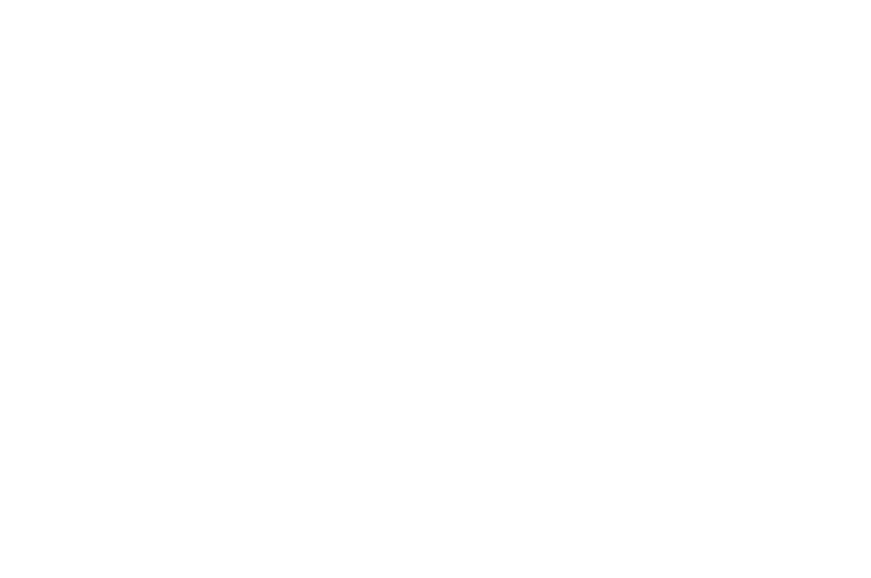 Official Selection - Naperville Independent Film Festival