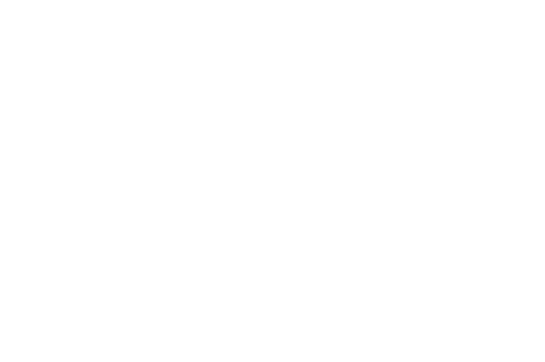 Official Selection - New York No Limits Film Series