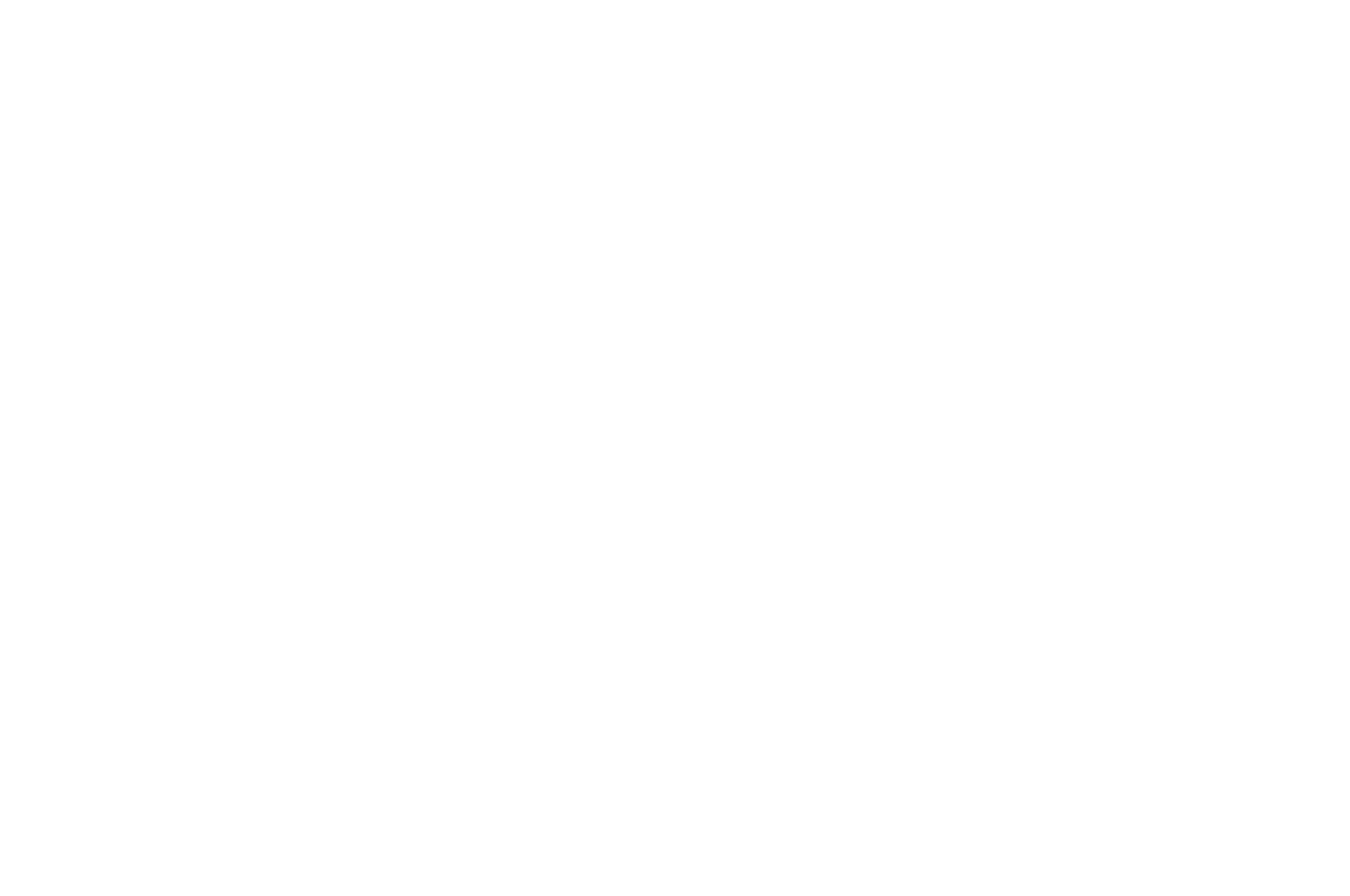Official Selection - Swedish International Film Festival