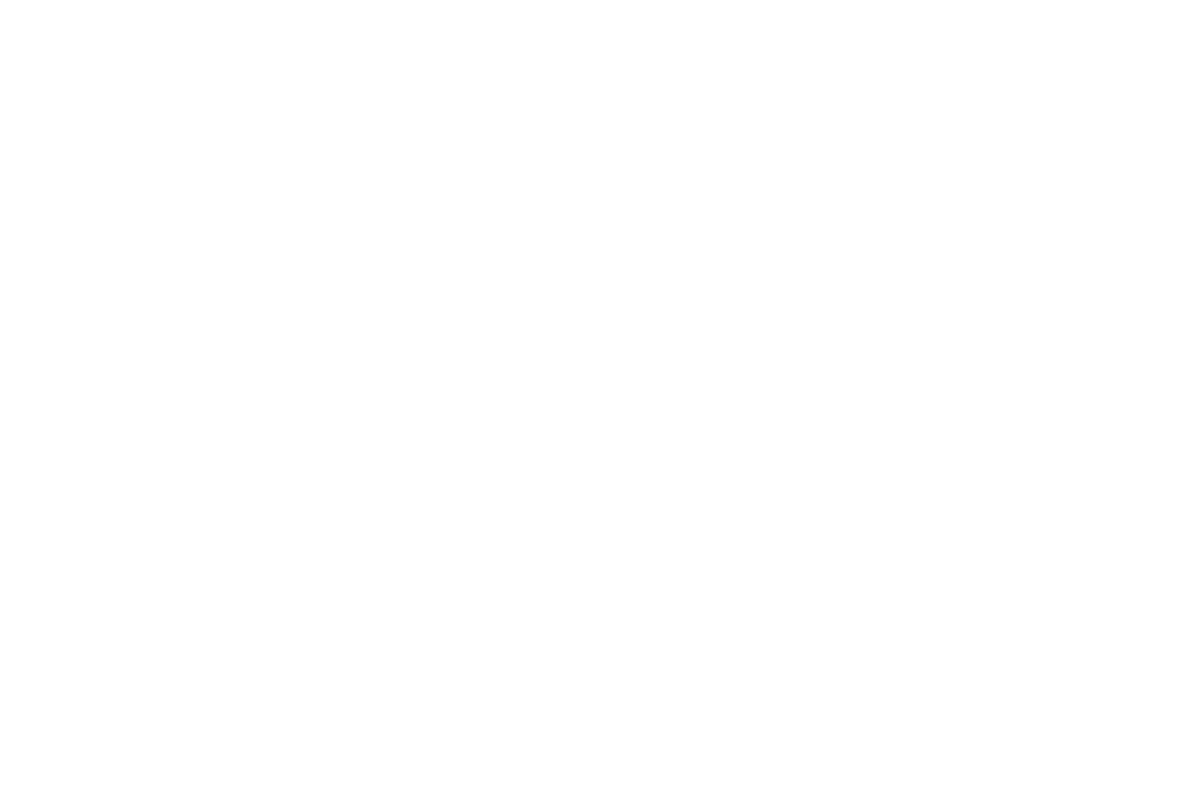Official Selection - The Royal Film Festival