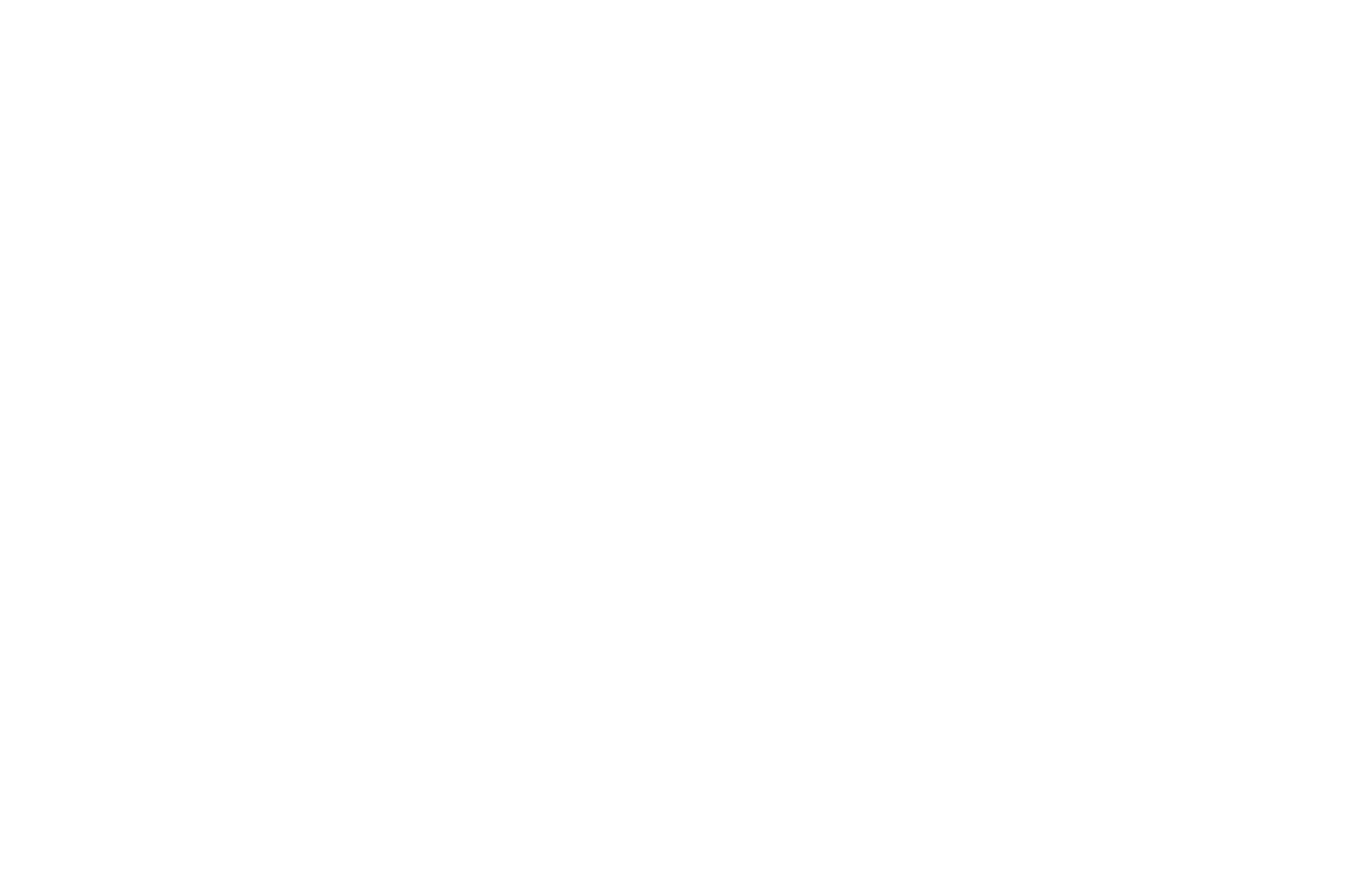 Official Selection - Williamsburg Independent Film Festival