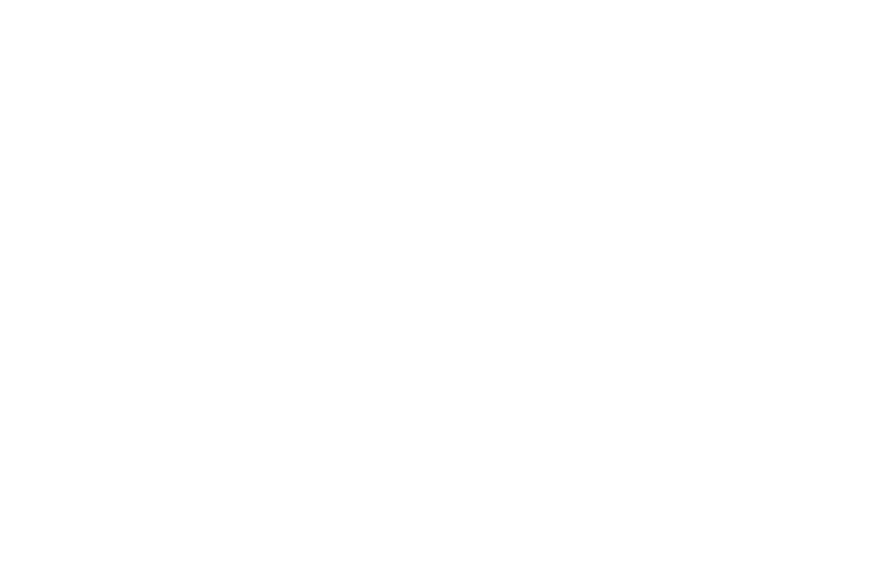 Winner - Best Short Film - Breckenridge Film Festival